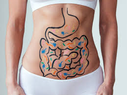ציור של מערכת העיכול על הגוף של האישה